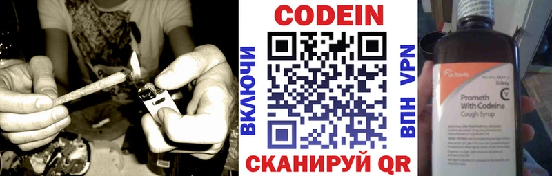 Купить где  Отрадная  Кодеин Purple Drank 