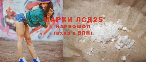 гашик Щучье