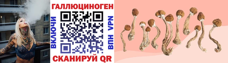 Купить  Отрадная  Псилоцибиновые грибы ЛСД 